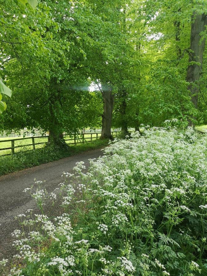 Holly House Bed & Breakfast Ebrington Bagian luar foto