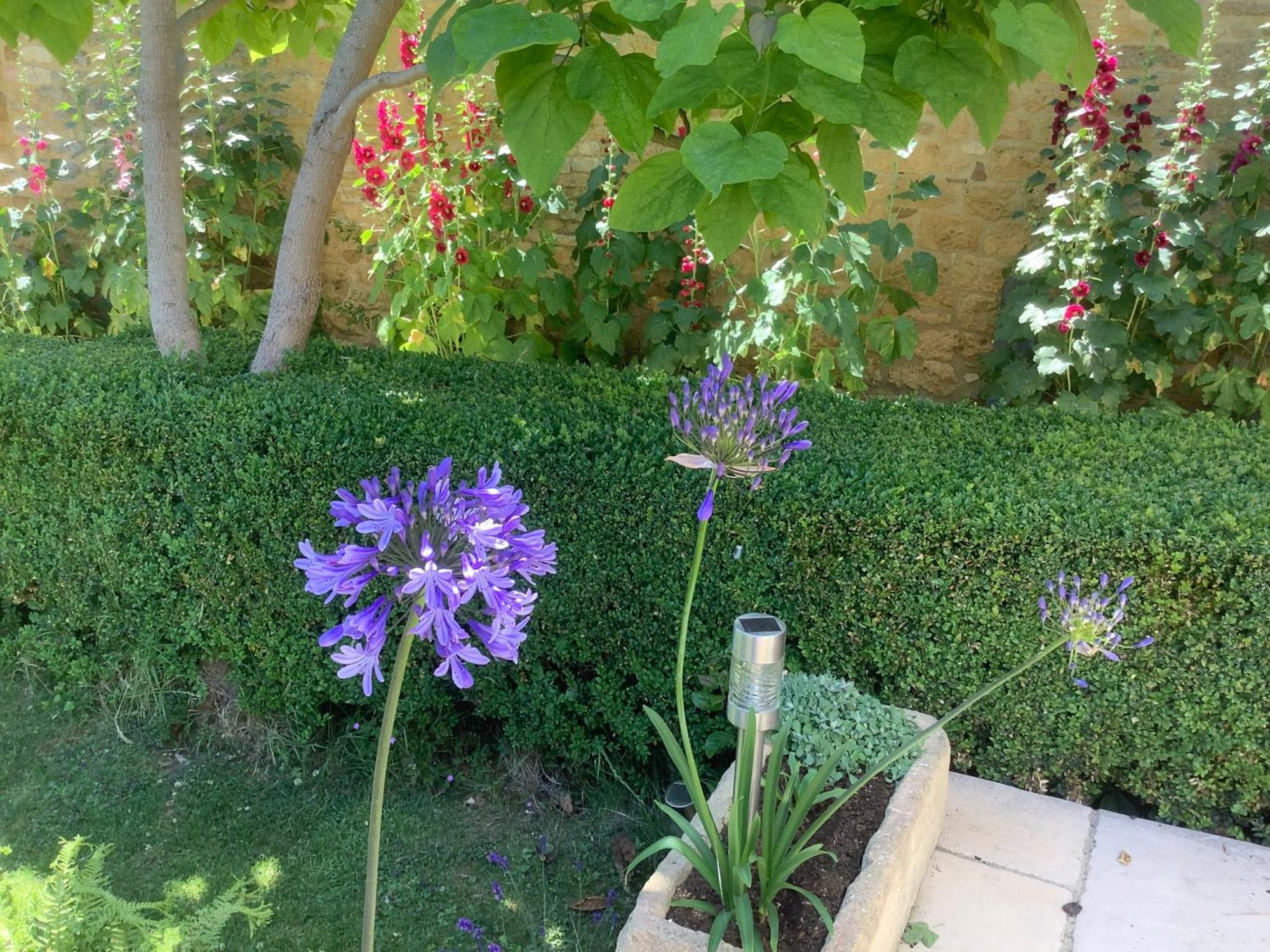 Holly House Bed & Breakfast Ebrington Bagian luar foto